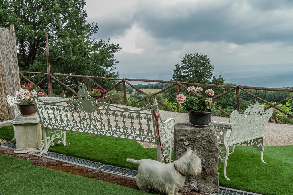 Agriturismo Specchio Del Lago Montefiascone Eksteriør bilde