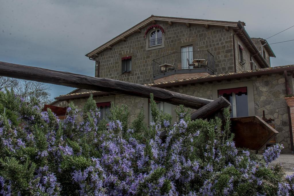 Agriturismo Specchio Del Lago Montefiascone Eksteriør bilde