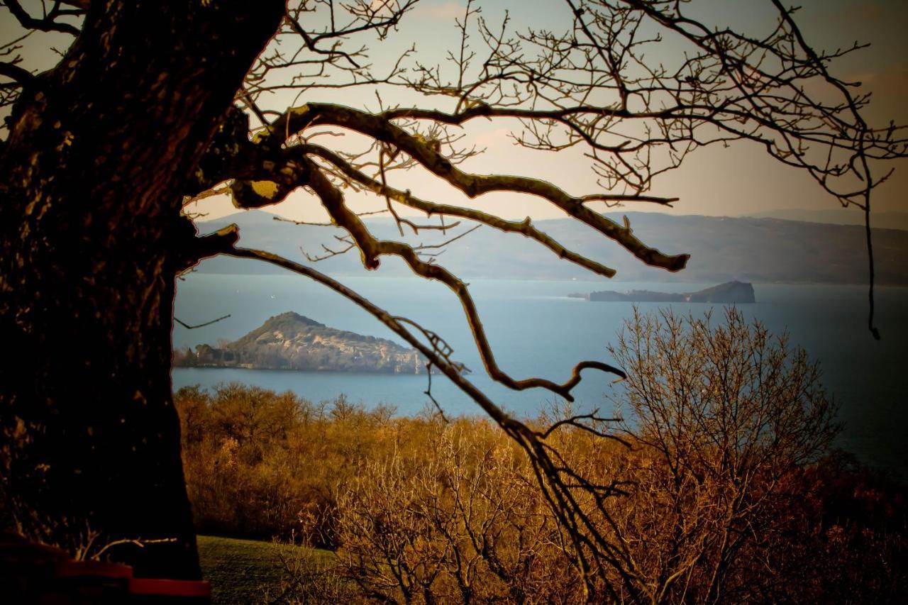 Agriturismo Specchio Del Lago Montefiascone Rom bilde
