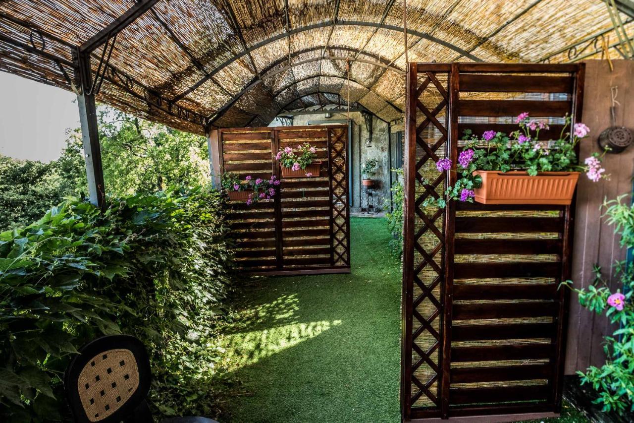 Agriturismo Specchio Del Lago Montefiascone Eksteriør bilde